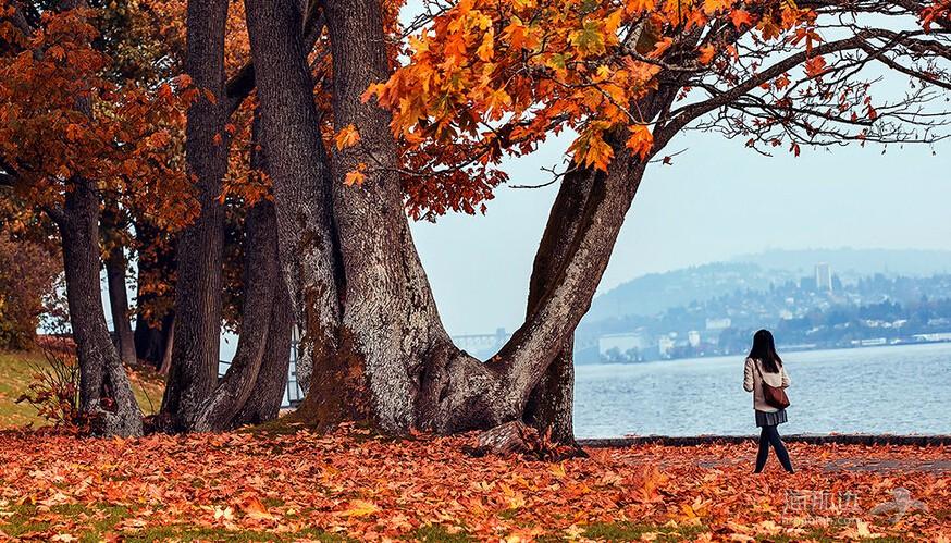 32a9d1031eae8517c43e7bdf135800f4.jpg ..