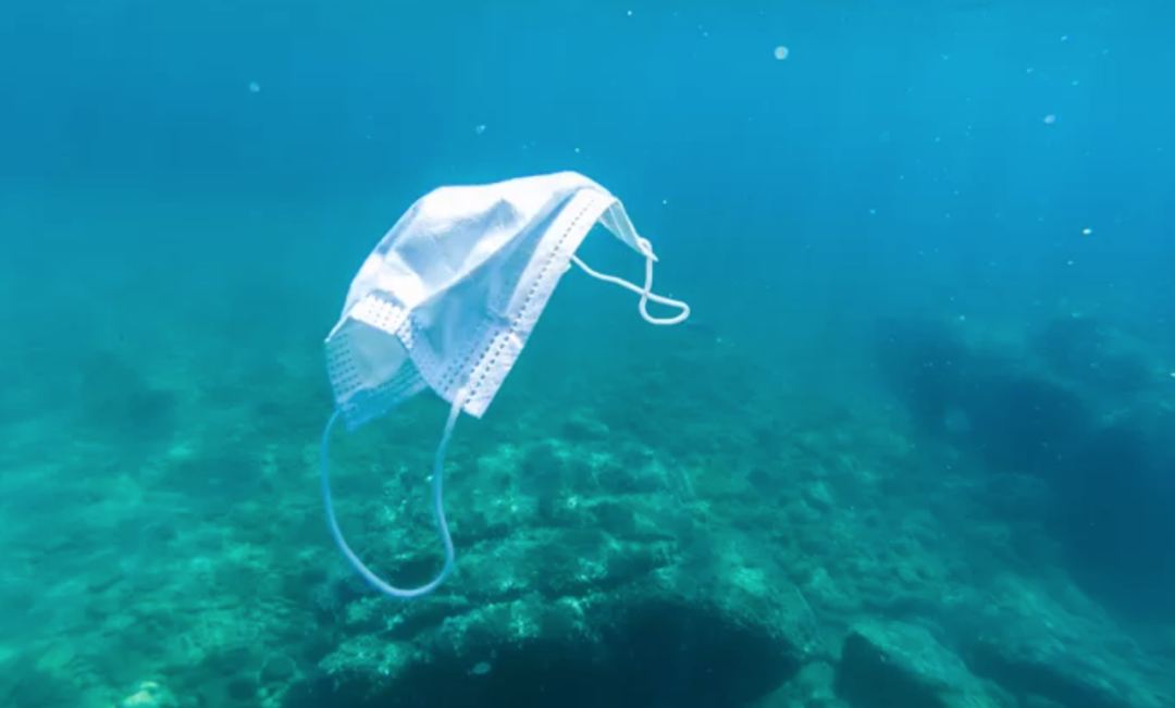 【环境】2020年15亿只口罩流入海洋 塑料垃圾污染海洋生态