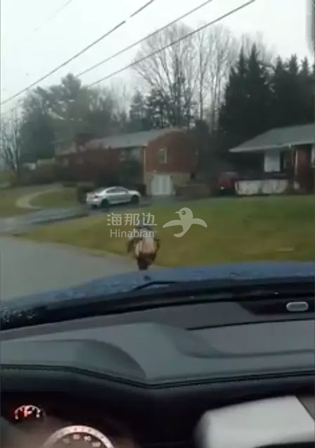 809088ecc90221af2d80253e34d77211.png ..