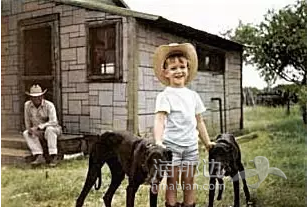 7552514cb86bb55925f171929f6fce93.png ..