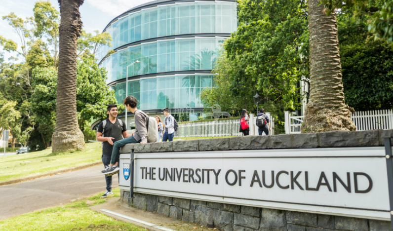 新西兰大学基本都下降了