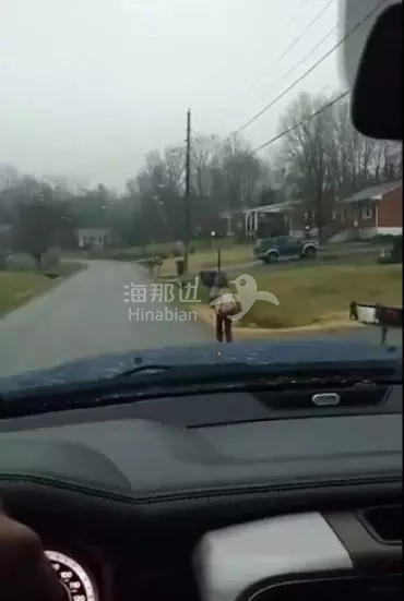 c56eeb9ac31f94b76819d8977ca98041.png ..