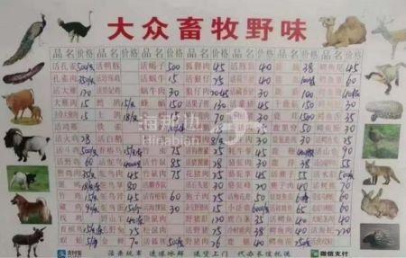 01dfb175f2fc9b85ee678ad4e24f18d8.jpg ..