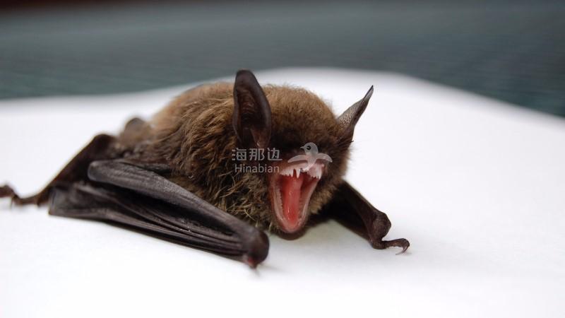 1d7420c96ac49c81ea501efb90a3bcae.jpg ..