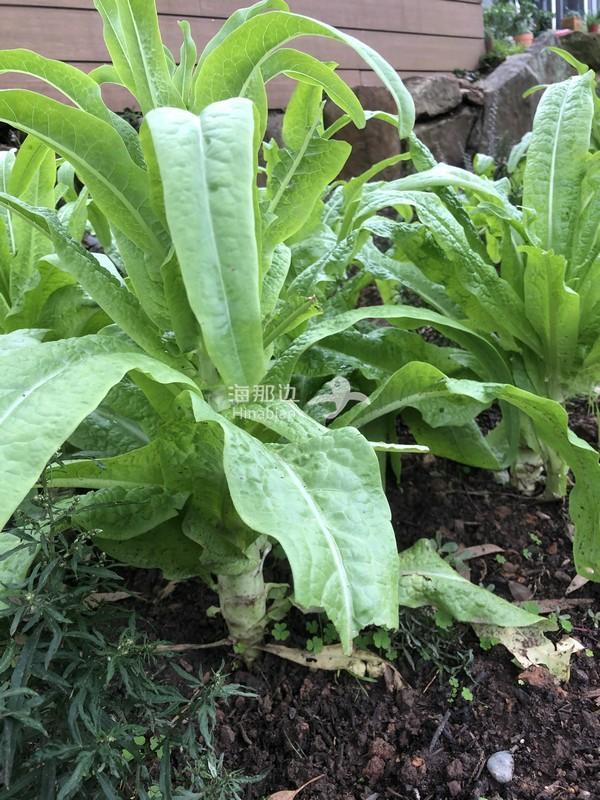 9a6552d6dd1265d5f9696848f560719c.jpg ..