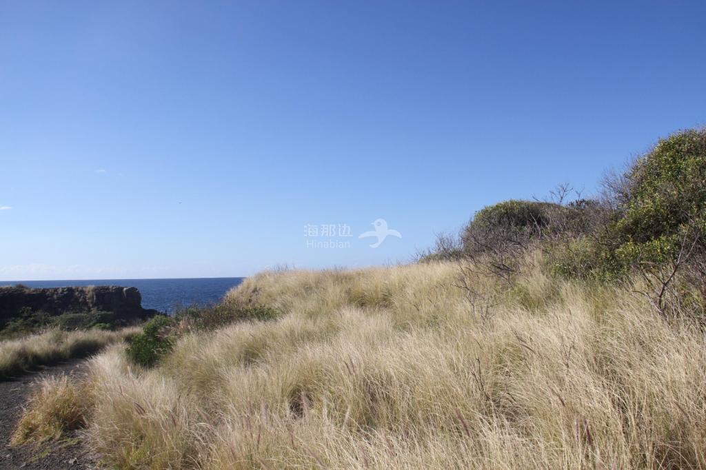 481f8b298236aa93b69aab2db45c78dc.jpg ..