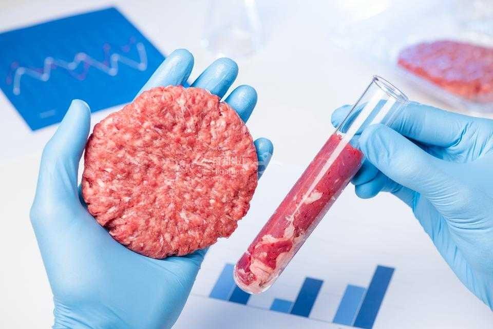 实验室培育的人造肉.jpg