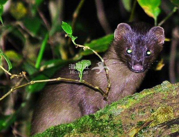 1427ab38dd4b963132f5e28fe9f6f2de.jpg ..