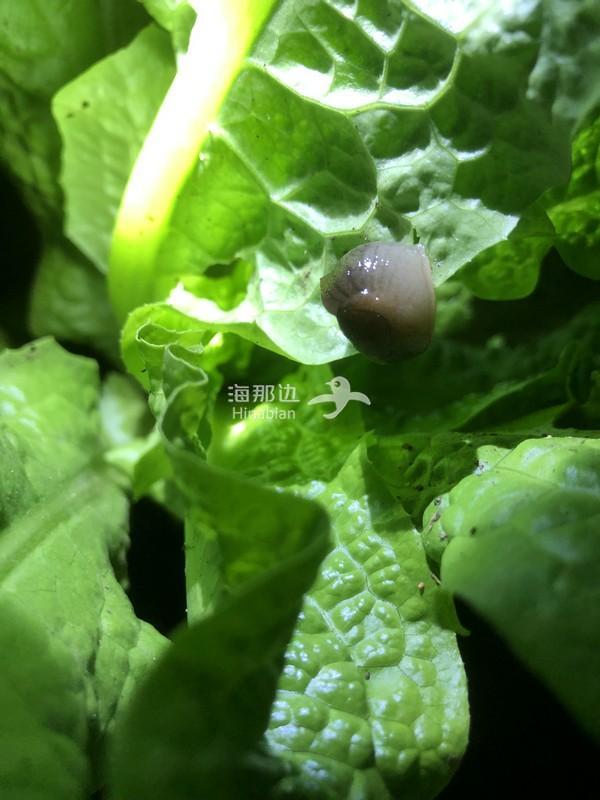 1ae8b9be9f6267ea5d689cb4410a4895.jpg ..