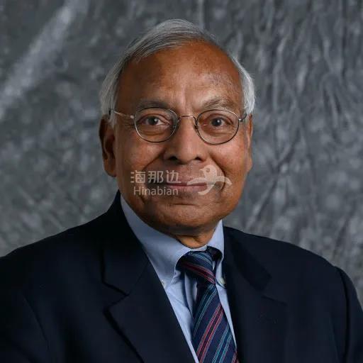 科学家 Anil K. Jain 教授，印度籍美国人.jpg
