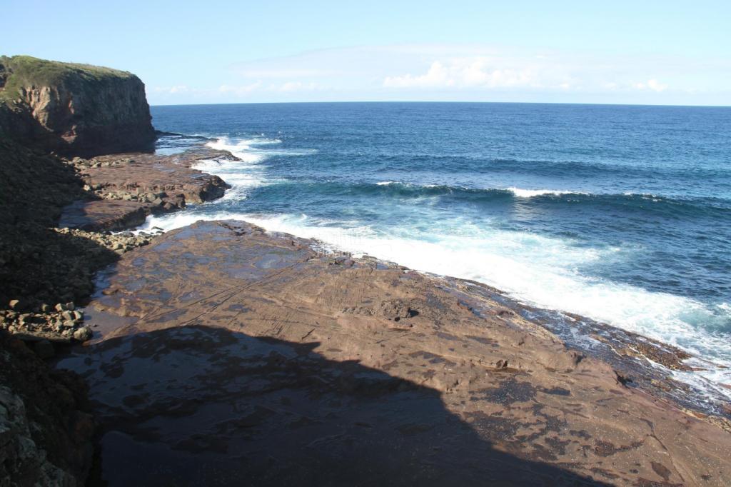 481f8b298236aa93b69aab2db45c78dc.jpg ..