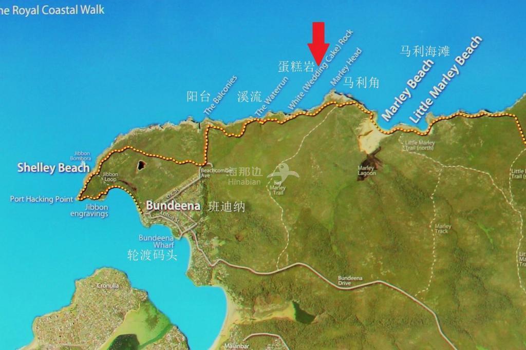 the-royal-coastal-walk-track-map2.jpg
