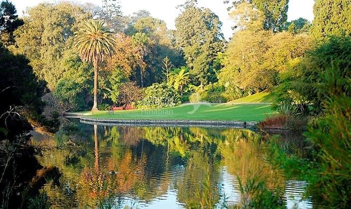 ebabe856b3d0b343ee22c967a00198e1.jpg ..