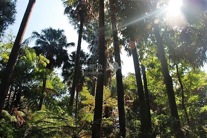 b9a27adcb707c9d07109abc3881f1e87.jpg ..