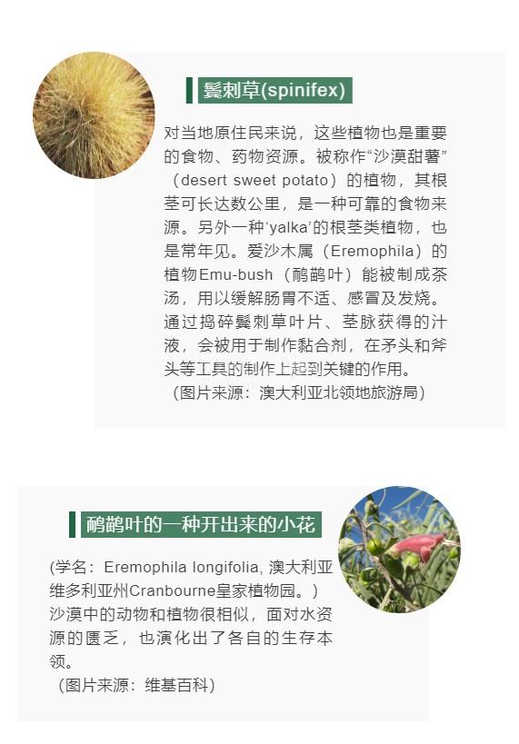 6e9b1d778e045f05f2e27ca0e8d4079e.jpg ..