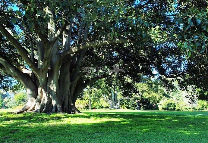 b9a27adcb707c9d07109abc3881f1e87.jpg ..