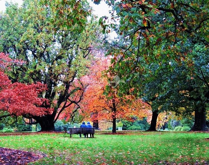 029d3202e4aa2d42b72726464dead279.jpg ..