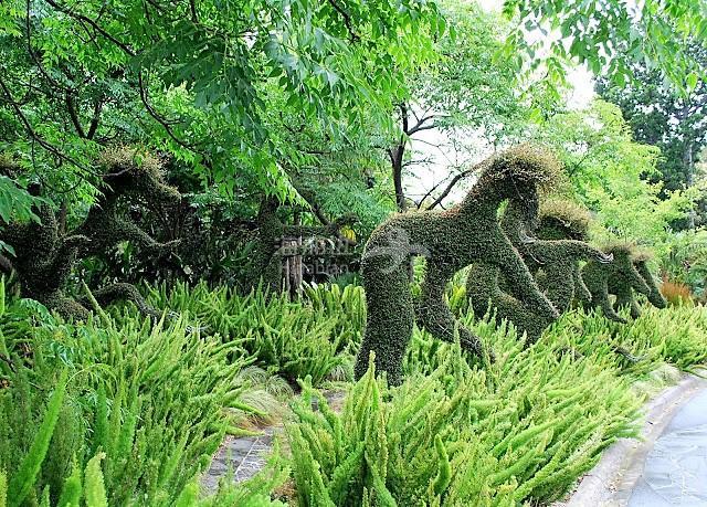 72c2fc8f78c35e5d1396c7a446f49fd0.jpg ..