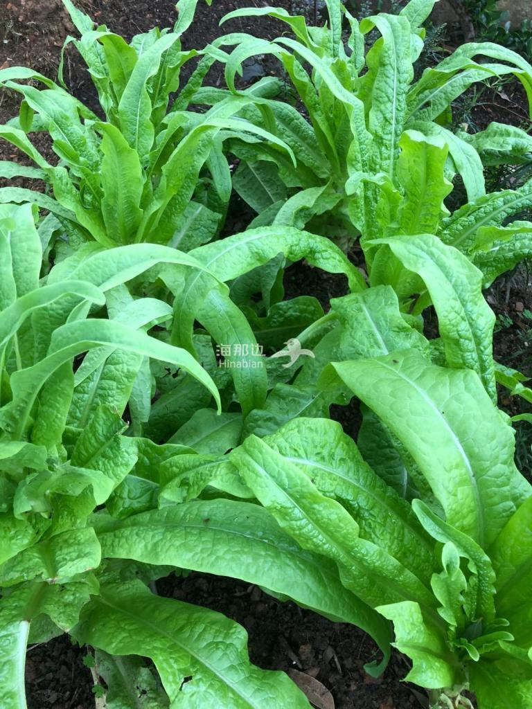 9a6552d6dd1265d5f9696848f560719c.jpg ..