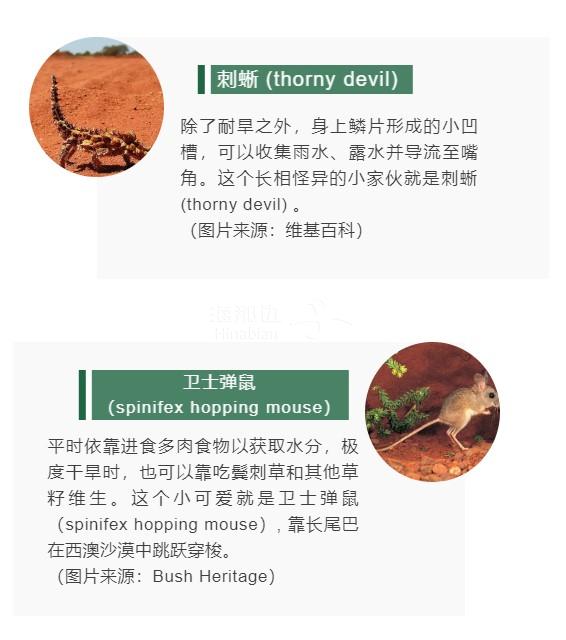 a57b33ea4be4b104ae330386583d065c.jpg ..