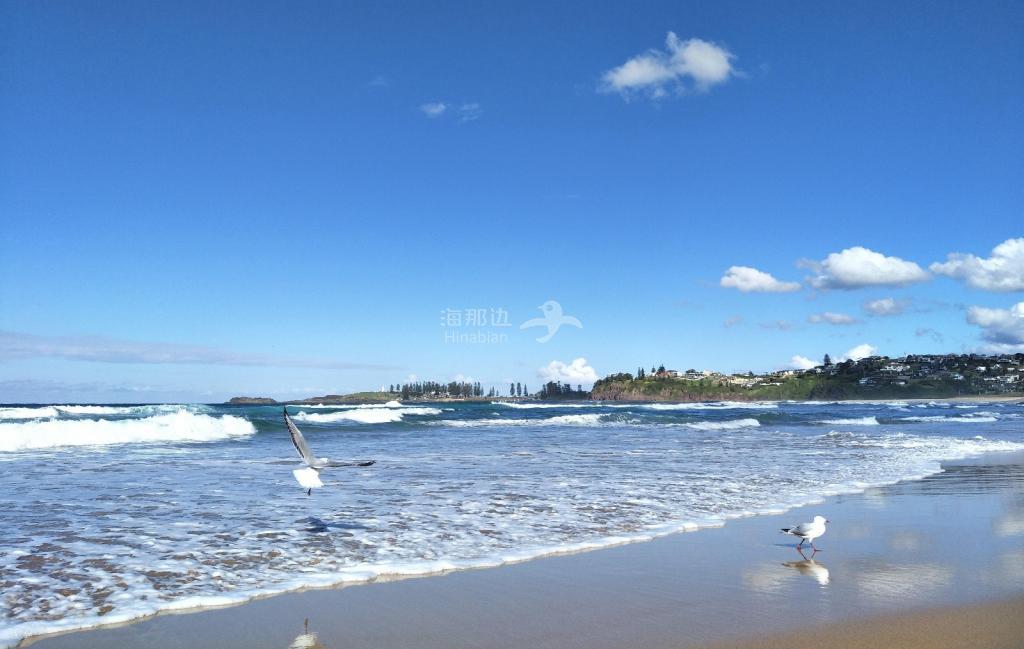 f454132b9d4c408128685339d651e464.jpg ..