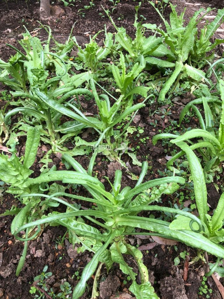 65376702fc5000ae94bb139b5fdb3dae.jpg ..