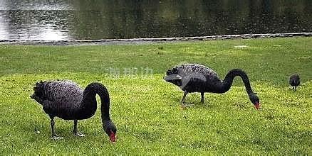 9341b38dd62c759d35bcbda1a85fcff1.jpg ..