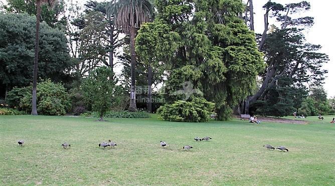 b89aade1a271dd8b5d4829daf1b658a4.jpg ..