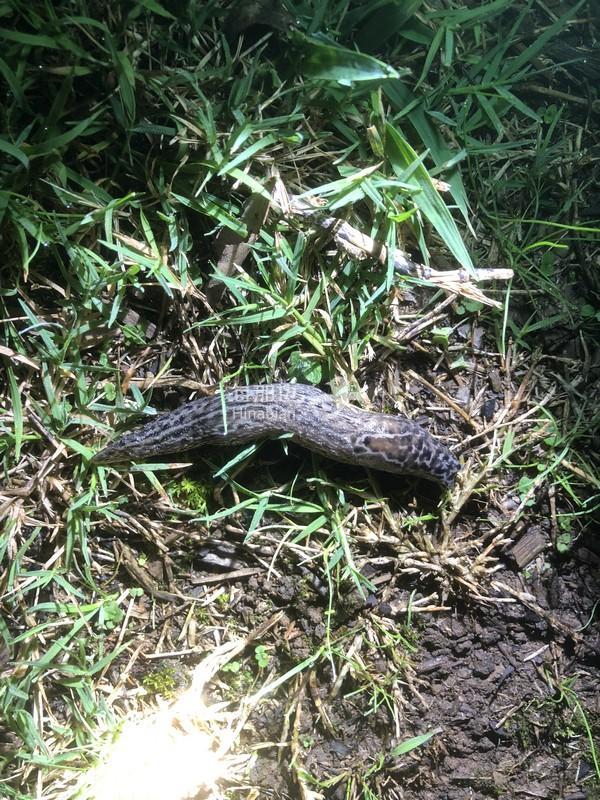 623f8d8523e975e264f17c9d45bd0a85.jpg ..