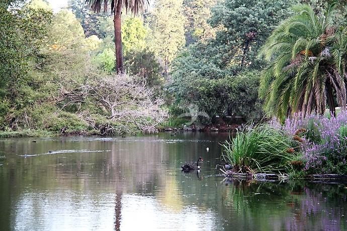 9341b38dd62c759d35bcbda1a85fcff1.jpg ..