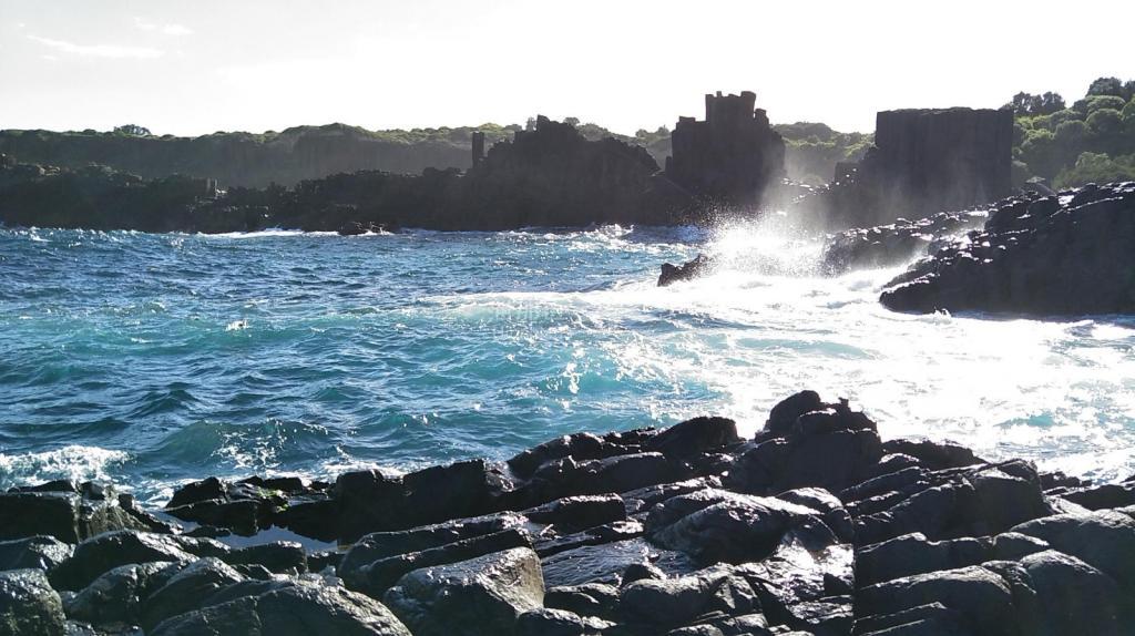 459b241c69cb6979bc026ff0e2b2714b.jpg ..