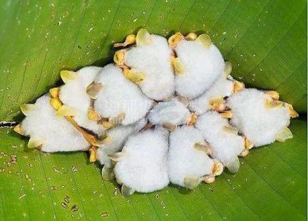 a1fd1a52a6a7dc9d65368f1fb078ce05.jpg ..