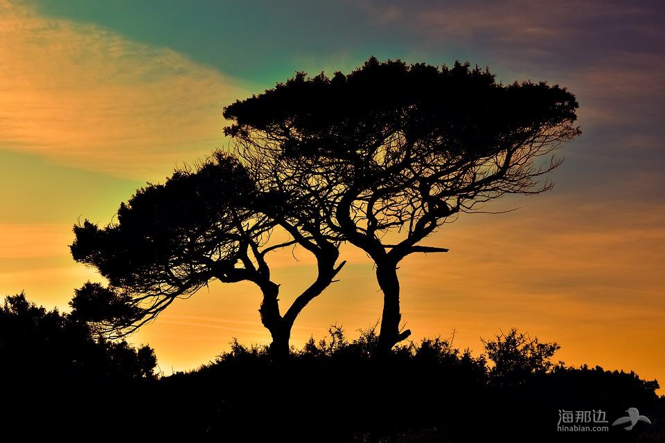 塞浦路斯, 卡沃 Greko, 国家公园, 树, 日落, 自然, 夕阳的颜色, 调色板