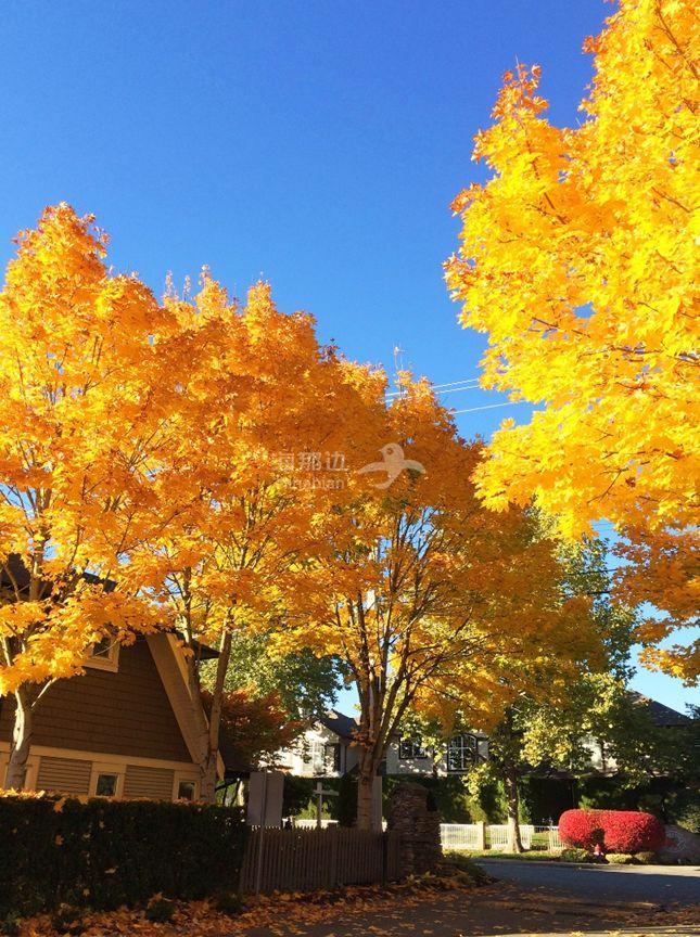 20180218_15189750861007.png ..