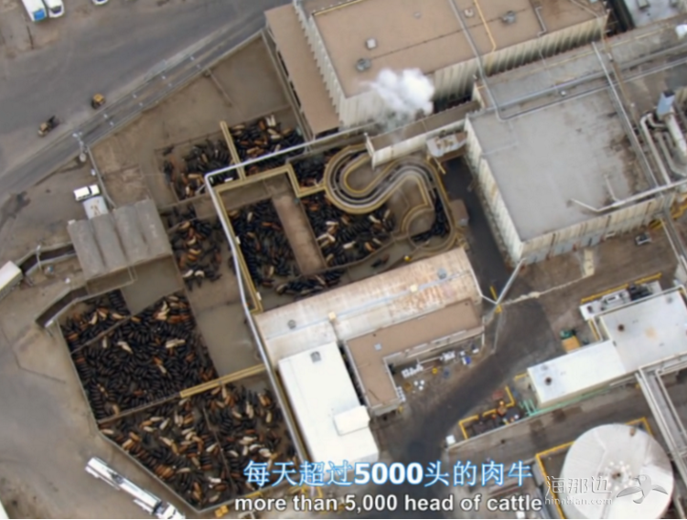 78dc557660668e340ce61c2c9cc767ea.png ..