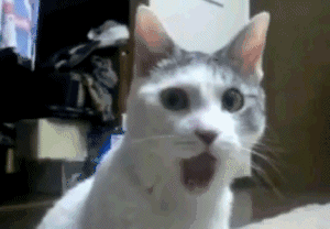 ..