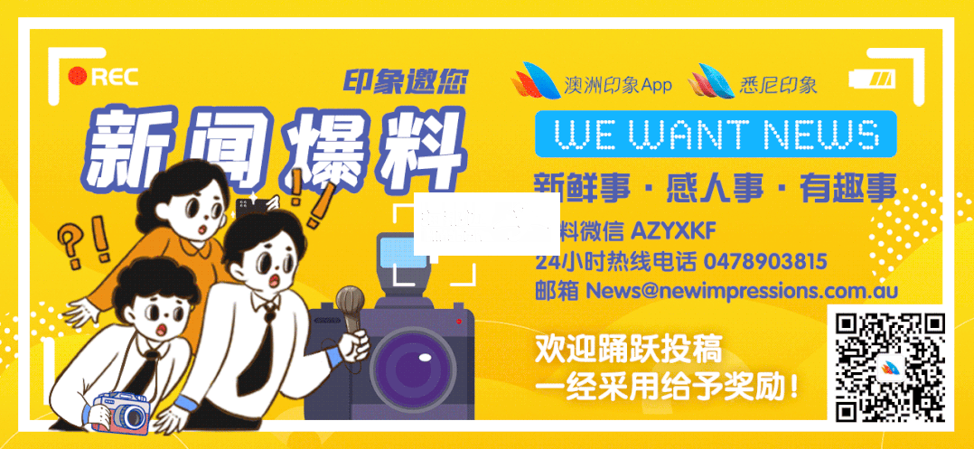 30场活动全方位覆盖线下与线上,由全媒体出席的新闻发布酒会作为开端