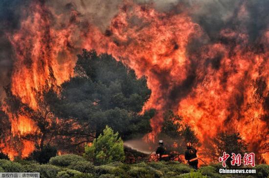 7月25日消息，据雅典通讯社24日报道，希腊首都雅典附近森林火灾造成的遇难人数升至74人，另有至少20人失踪。图为消防员试图熄灭正在熊熊燃烧的山火。
