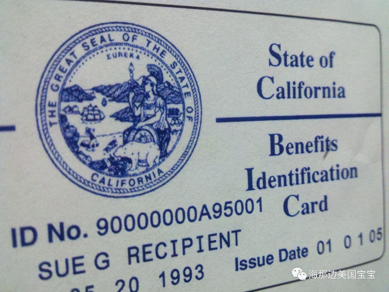 业圈乱象美妈再次入境竟因中介倒闭而面临遣返