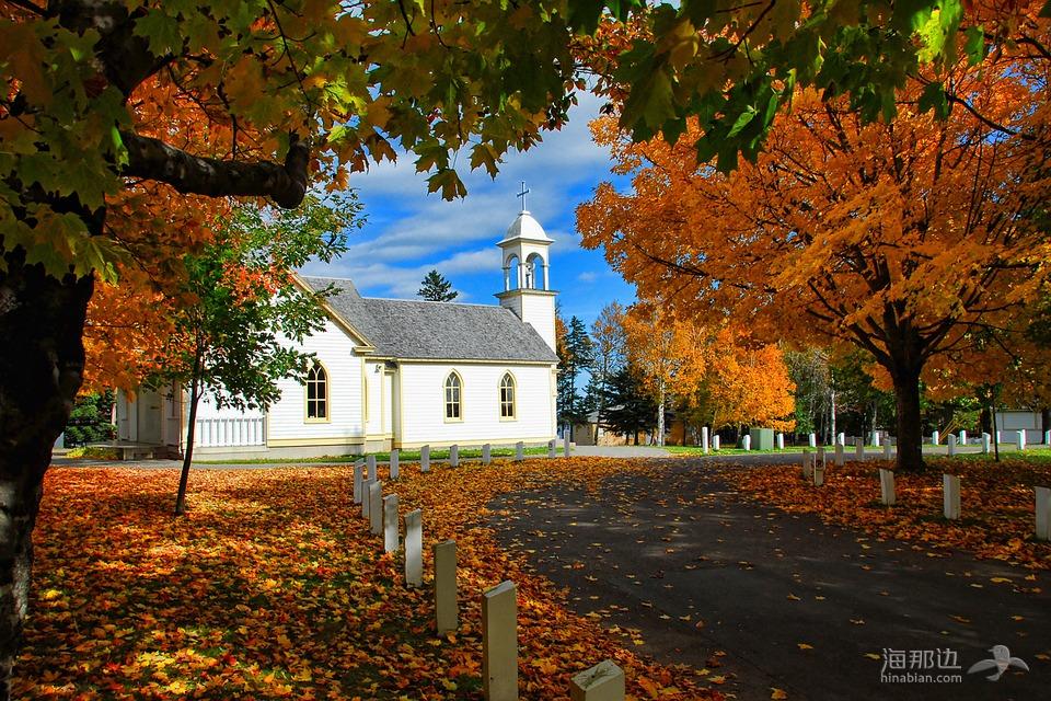 加拿大, 秋, 教堂, 季节, 景区, 颜色, 叶子, 橙色, 新不伦瑞克省, 小溪汽车旅馆