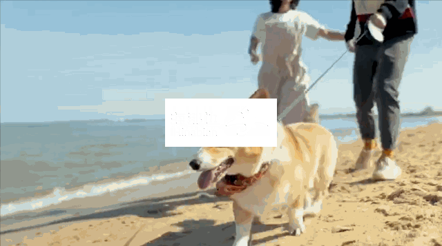 welife banner.gif ..