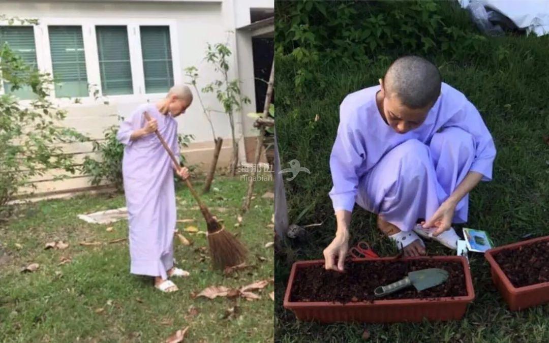 (點擊圖片,加入移民交流群)照片中剃著光頭,種菜掃地,吃素唸經的