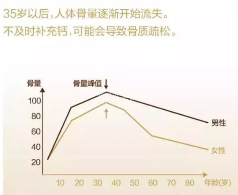 (點擊圖片,加入移民交流群)相比較於男性,女性的骨量含量更少,下降更