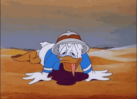 扎满五颜六色的小帐篷.最近的欧洲人都已经成了"热锅上的蚂蚁".