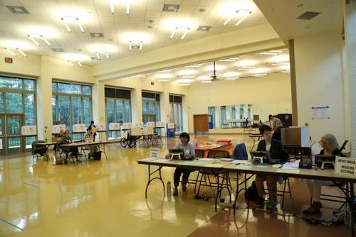 资料图: 2018年6月26日,美国马州初选日登场,无论是投票、做义工,还是参选,都能见到马州华人的参政身影。(美国《寰球日报》/罗晓媛 摄) ..