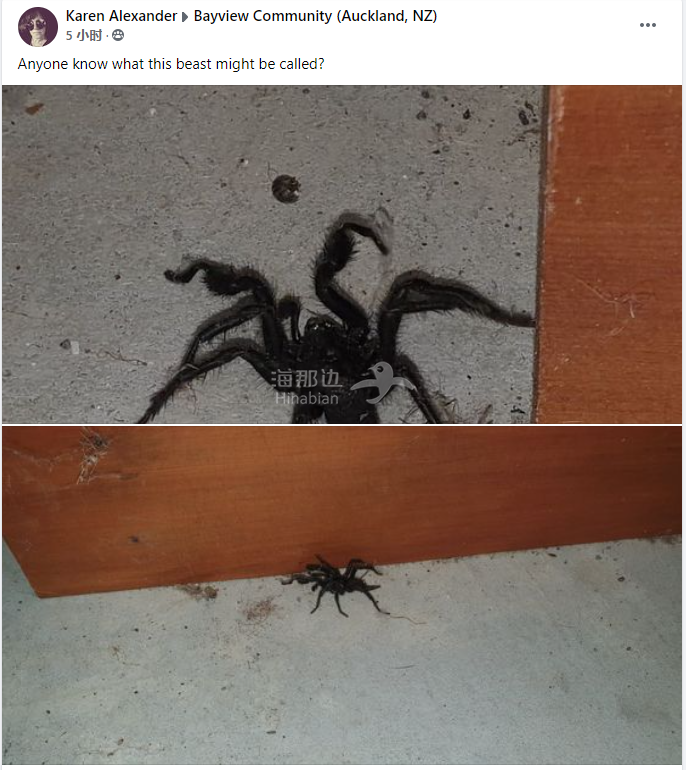 ..