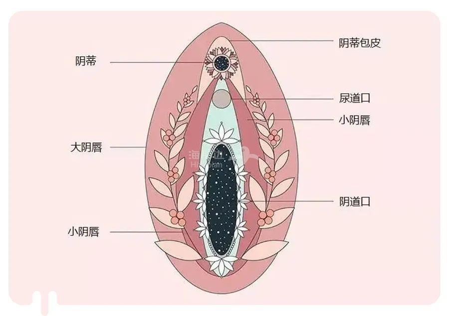 成年人如何体验极致的快感