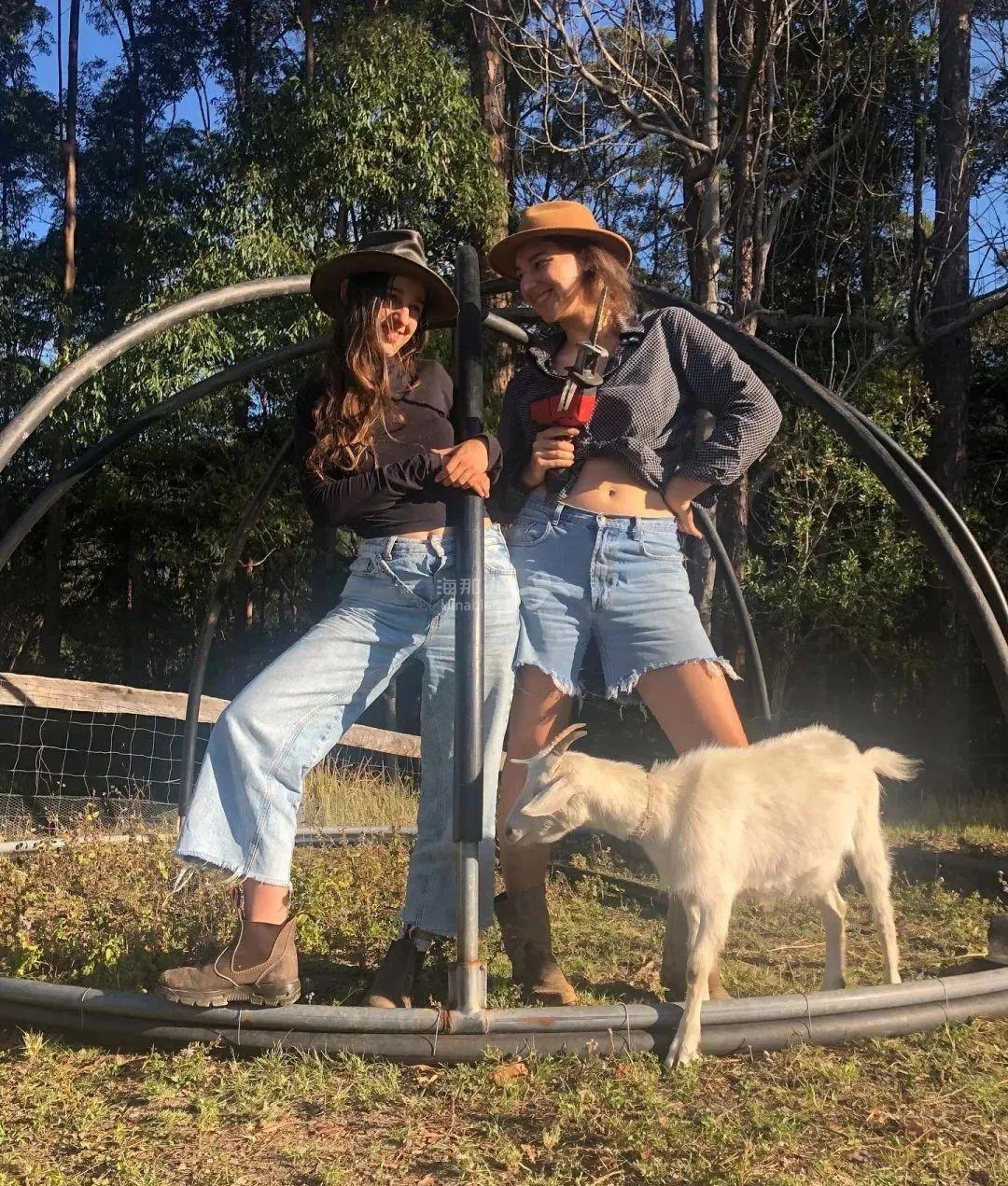 119172169_179511593685187_5109719177092347916_o.jpeg ..