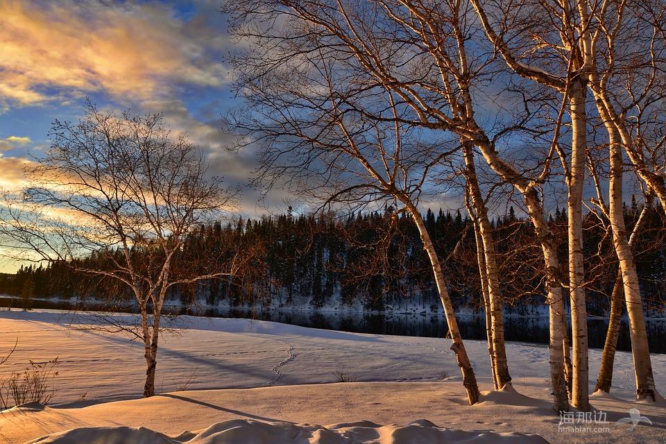 冬天风景, 雪, 桦木, 结冰的湖, 性质, 暮光之城, 日落, 树, 对比, 针对一天, 魁北克省, 加拿大