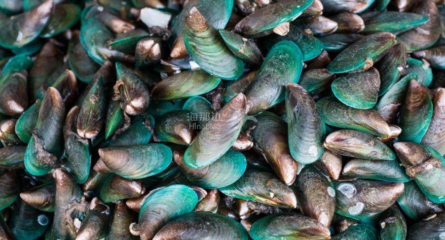 紧急通知这些地区的贝类不安全别捡别吃啊